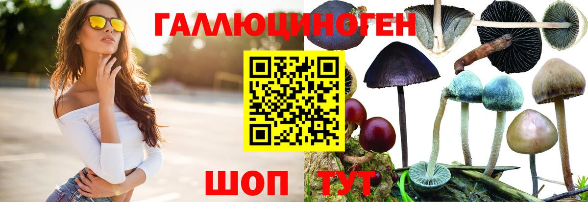 Чайковский  Псилоцибиновые грибы Psilocybine cubensis  Вход с VPN 